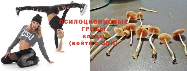 а пвп мука Гусь-Хрустальный