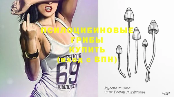 а пвп мука Гусь-Хрустальный