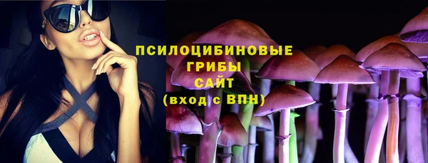 ECSTASY Горняк