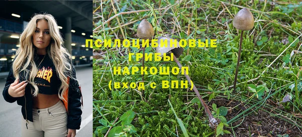 крисы Гусев