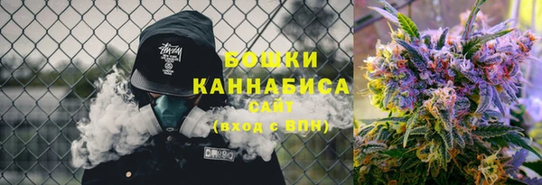 крисы Гусев
