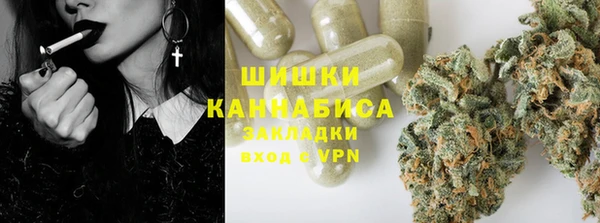 крисы Гусев